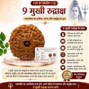 Astrodidi 9 Mukhi Rudraksha | Certified Java Nine Face Rudraksha