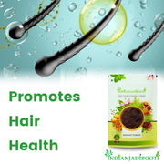 IndianJadiBooti Pure Ratanjot Whole Roots (Alkanet) | Raw Botanical for Traditional Hair Oiling, Natural Color Infusions & Artisan Beauty Crafting (100 Grams)