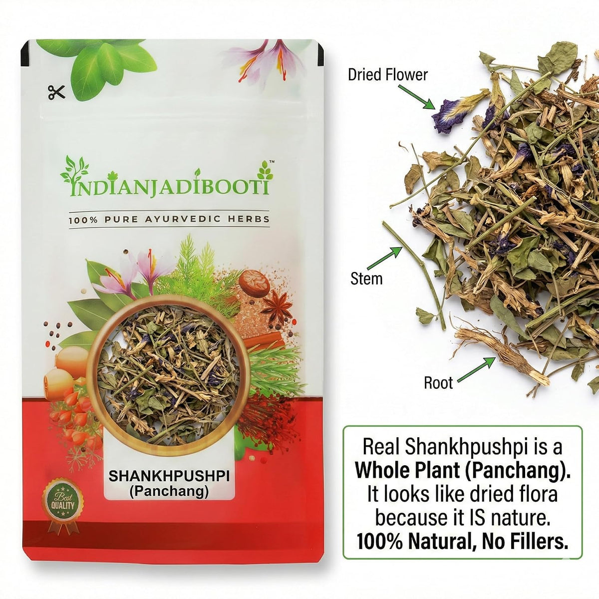 IndianJadiBooti Shankhpushpi | Shankhapushpi | Convolvulus Pluricaulis | Natural Brain Tonic for Memory, Focus & Better Sleep | Pure Dried Whole Herb (Panchang) | 100g