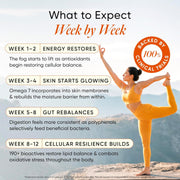Wellbeing Nutrition Himalayan Sea Buckthorn Pulp With Curcumin Extract |Cold-Pressed, Liquid Concentrate Juice| Natural Vitamin C, Omega 3, 6, 7, 9 & Antioxidants |Supports Immunity, Skin Glow & Gut Health| 500ml