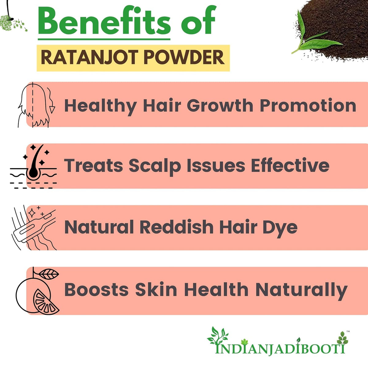 IndianJadiBooti Pure Ratanjot Whole Roots (Alkanet) | Raw Botanical for Traditional Hair Oiling, Natural Color Infusions & Artisan Beauty Crafting (100 Grams)