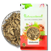 IndianJadiBooti Ulatkambal Root - Ulat Kambal Jadd - Abroma Augusta - Abroma Augustum (100 Grams)