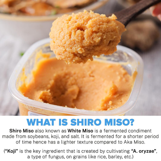 Urban Platter Shiro Miso Paste, 1kg (Light Miso | Fermented Soybean Paste | Preservative-Free | Mild Umami Flavor)