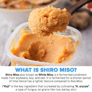 Urban Platter Shiro Miso Paste, 300g (Light Miso | Fermented Soybean Paste | Preservative-Free | Umami Rich)