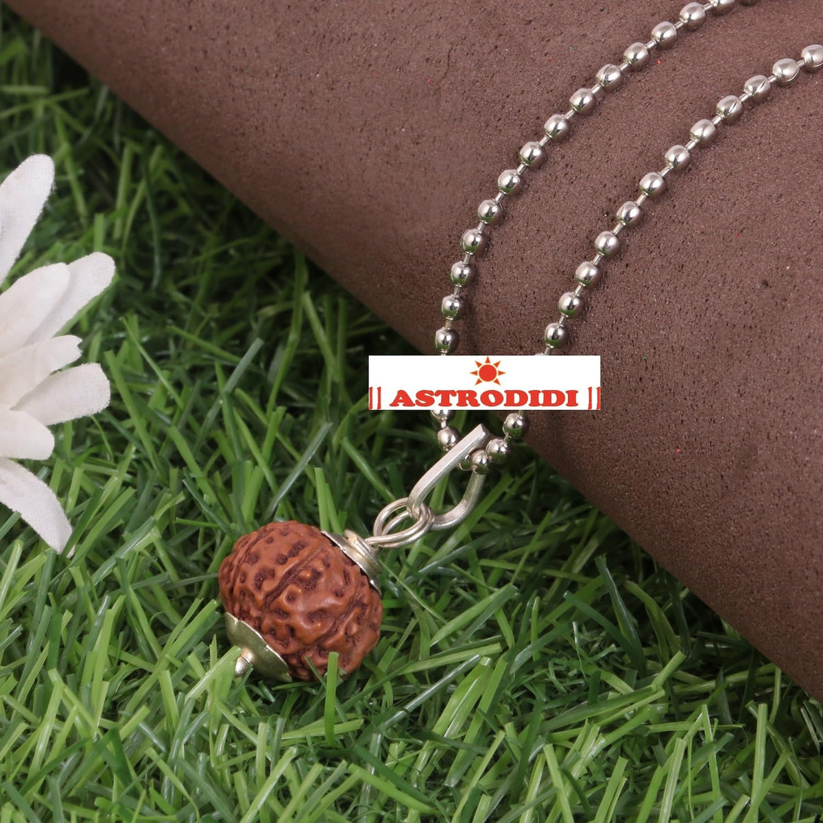 ASTRODIDI Nepali 7 Mukhi Rudraksha Pendant with Lab Report | Certified Natural Seven Face Rudraksh with White Metal Capping and Chain for Men and Women (Colo: Brown)