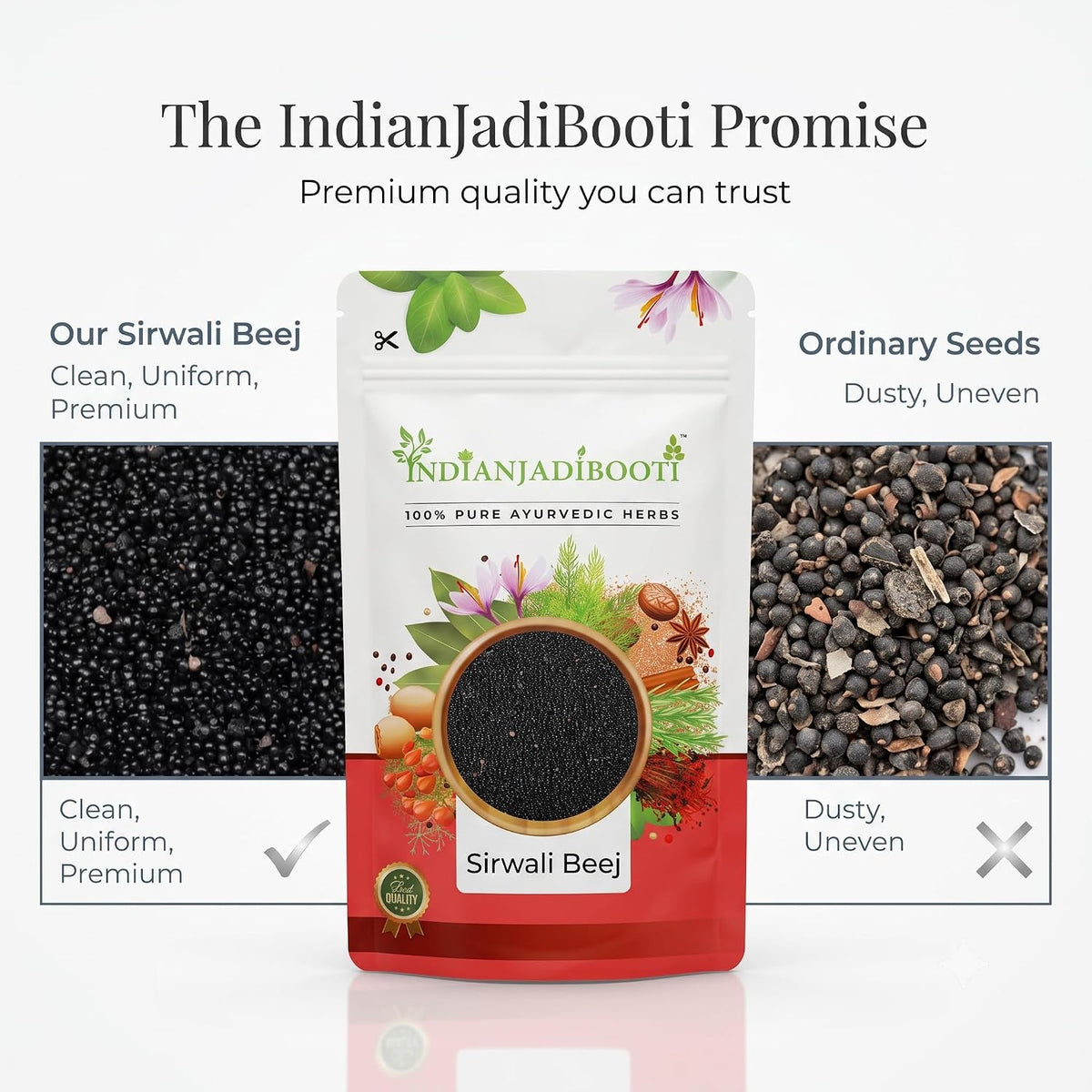 IndianJadiBooti Sirwali (Beej) - Kurdu Seeds - Surwali Beej - Lal Murga - Celosia Argentea - Cockscombe Seeds - Plumed Cockscomb beej, 900g