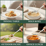 Parage 12 Pieces Stainless Steel Spoon Set for Home & Kitchen,15.5 cm Long, Tea, Coffee, Sugar & Spices, Small Spoons, Dining Tableware, Silver (Dilare)