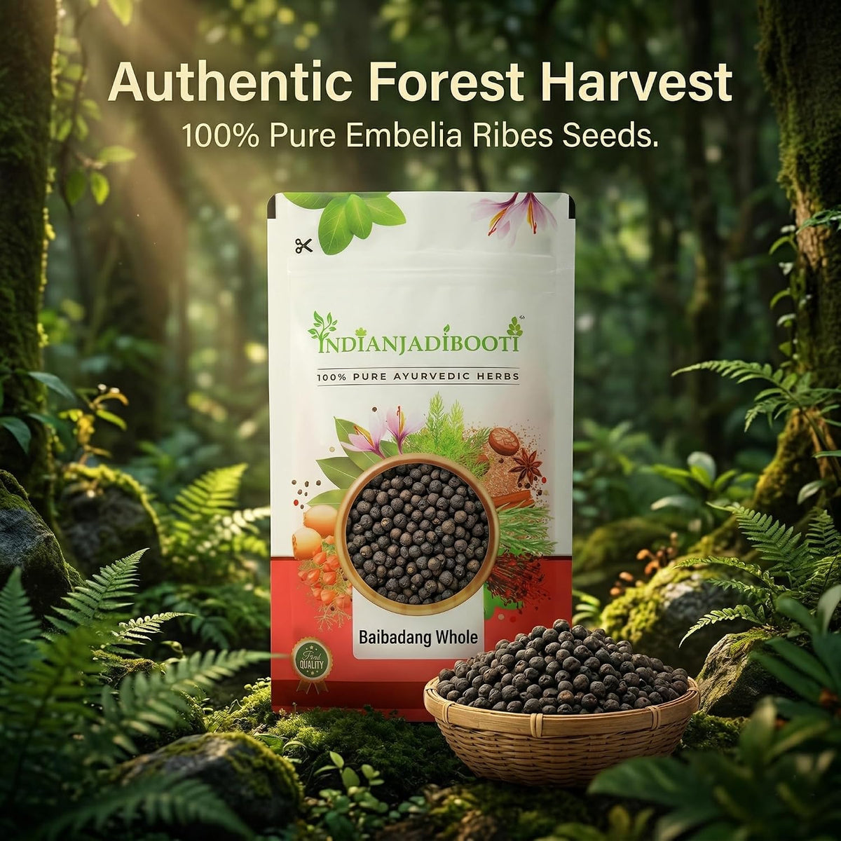 IndianJadiBooti Pure Baibadang Whole | Authentic Embelia Ribes Seeds for Gut Health & Detox | Vidanga/Vayuvilamgam Traditional Digestion Support | 100% Raw Natural Cleanser (100g)