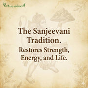 IndianJadiBooti Laxman Booti (Lakshmana) - Gubha/Sanjeevani - Rare Himalayan Herb for Reproductive Health & Vitality - Traditional Fertility Support - Raw & Dried - 250g