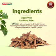 Baidyanath Arjun -60 Tablets (Pack of 2) | Ayurvedic Arjuna Extract | Supports Circulation, Lipid, Cholesterol Balance & Herbal Heart Wellness Supplement