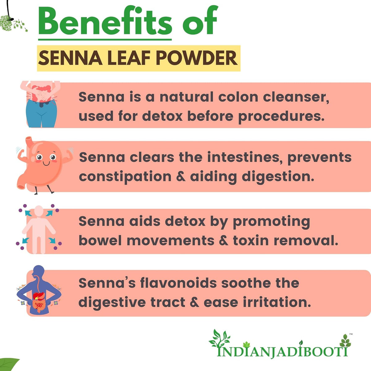 IndianJadiBooti Senna Leaf Powder | Cassia angustifolia | Helps in Digestive wellness | 250 Grams Pack
