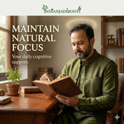 IndianJadiBooti Malkangni Beej - Jyotishmati Seeds - Celastrus paniculatus | Malkangani Seed | Stress Relief Good for Appetite (100 Grams pack)