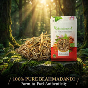 IndianJadiBooti Brahmadandi (Tricholepis glaberrima) | 3 Packs of 900 Grams