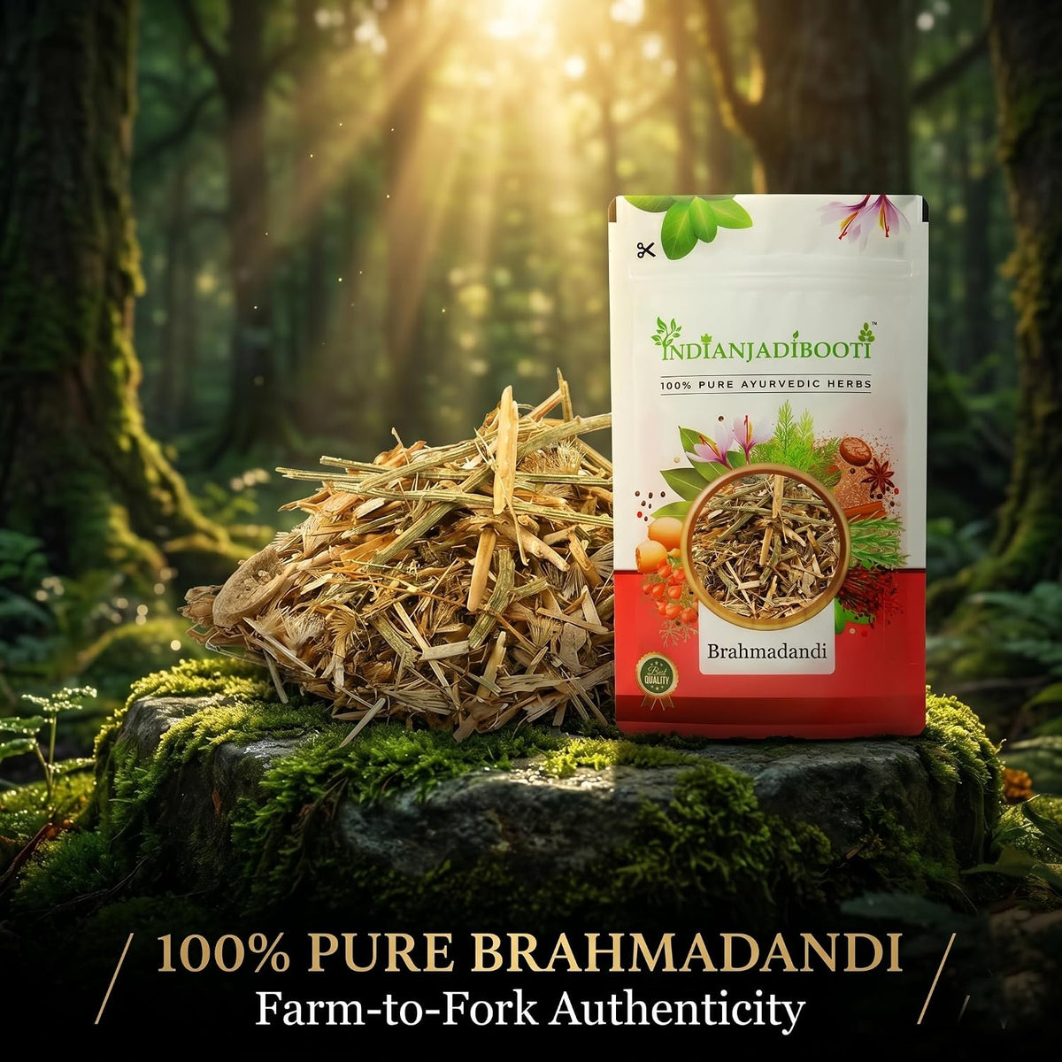 IndianJadiBooti Brahmadandi (Tricholepis glaberrima) | 3 Packs of 900 Grams