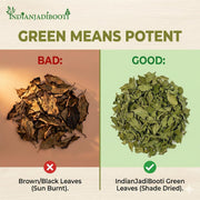 IndianJadiBooti Harsingar Leaves, 100 Grams