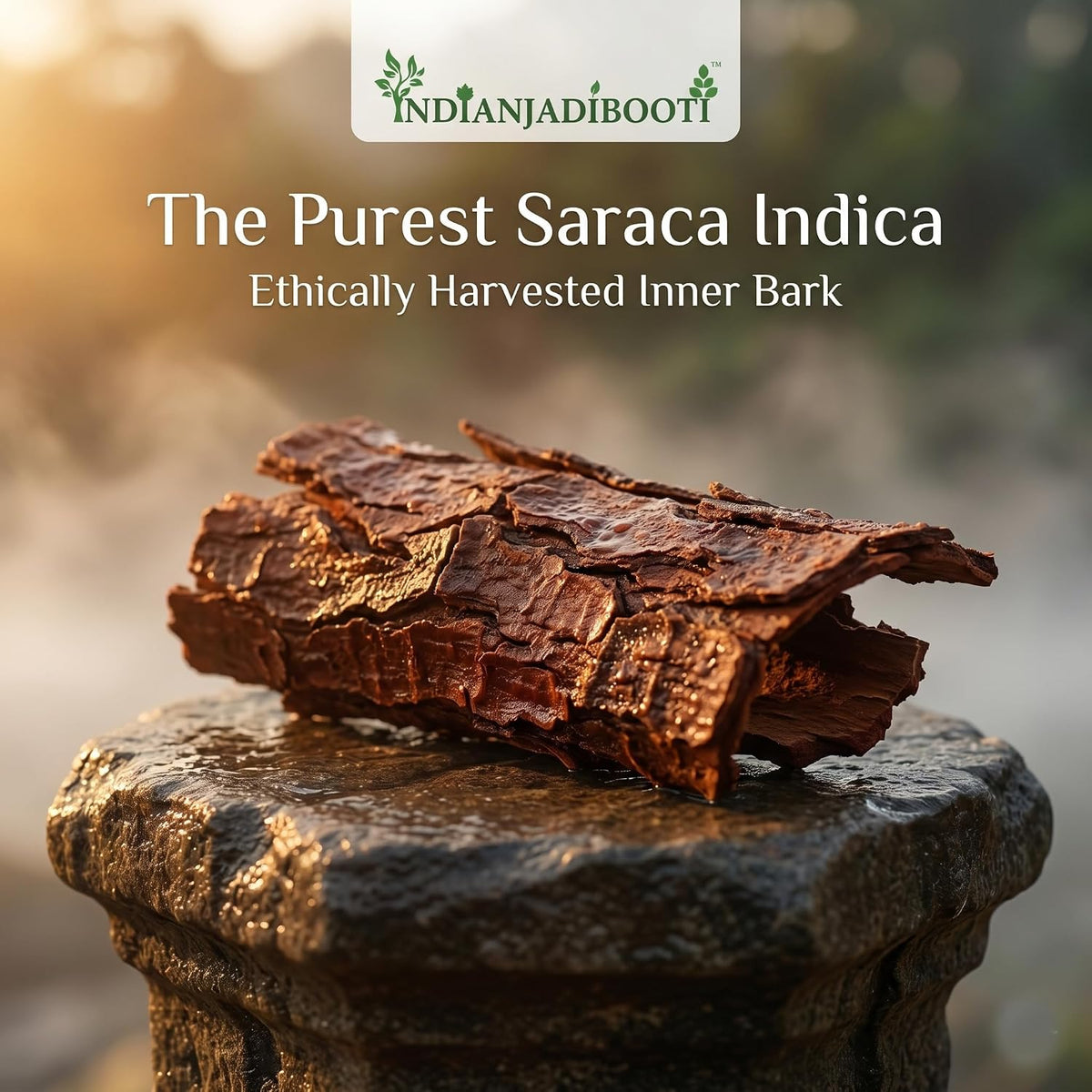 IndianJadiBooti Pure Ashok Chaal Powder (Ashoka Bark Churna) | Saraca Indica | Traditional Botanical for Holistic Female Wellness & Systemic Harmony (400g Pack of 2)