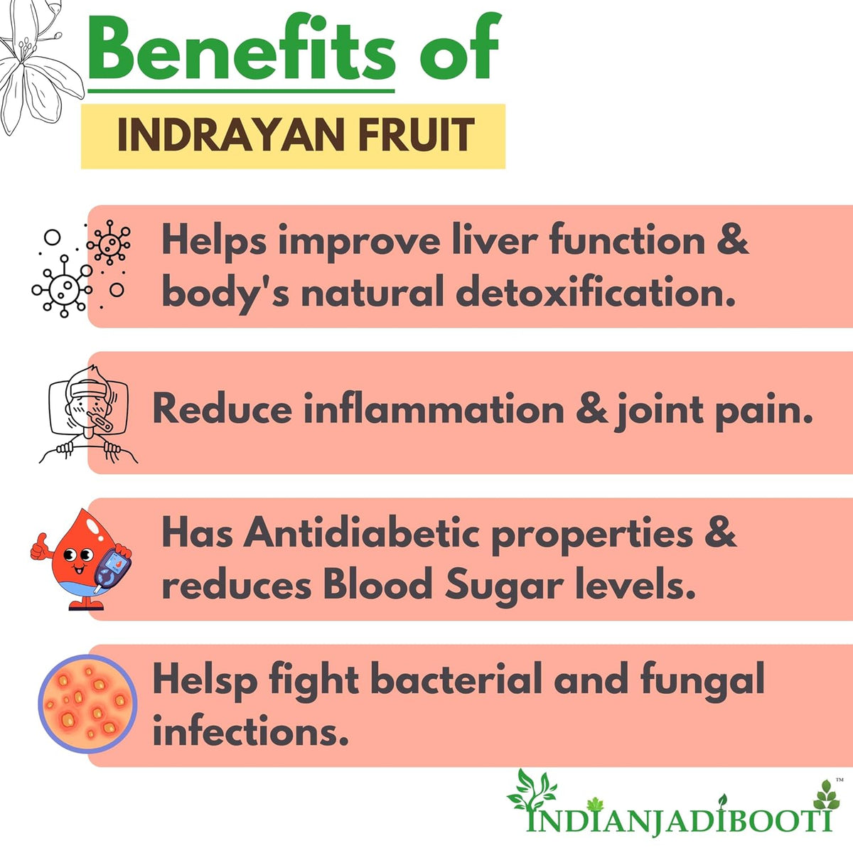 IndianJadiBooti Indrayan Phal (Citrullus Colocynthis) | 100g | Whole Dried Raw Herb | Traditional Tumba/Hanzal/Ghourumba | Natural Botanical Fruit (Grade A Sun-Dried)