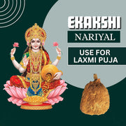 BrijBooti Ekakshi Nariyal - One Eye Coconut For Pooja