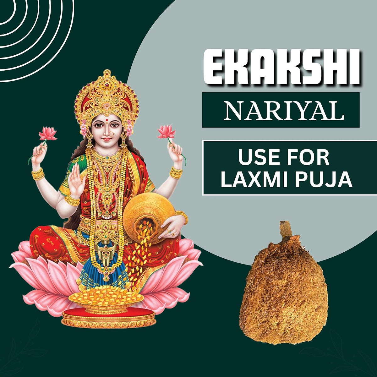 BrijBooti Ekakshi Nariyal - One Eye Coconut For Pooja