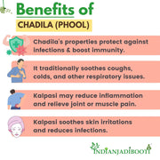 IndianJadiBooti Chadila (Stone Flower/Kalpasi) | Helps Improve Digestive and Respiratory health | 100 Grams | (Pack Of 2)