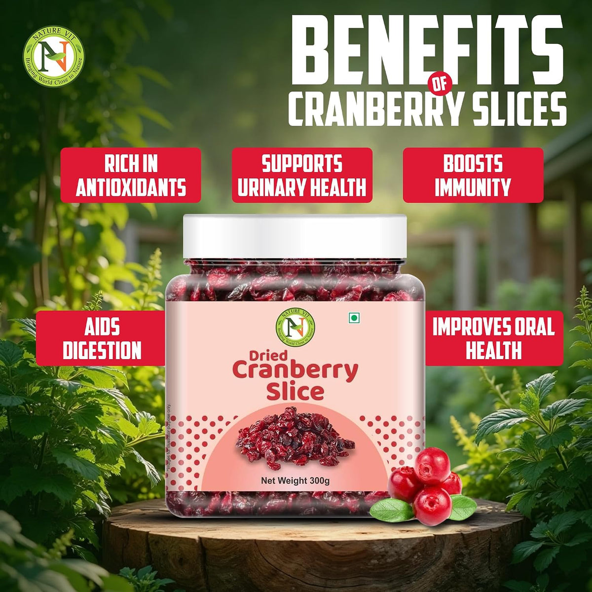 NatureVit Dried Blueberry & Cranberry Combo 600 Gram (300g + 300g) | Healthy Dried Berries | Antioxidant-Rich | Low Calorie Snack | Ideal for Snacking, Baking, Breakfast & Desserts