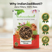 IndianJadiBooti Nagarmotha Whole (100g) - Mustak Rhizome (Cyperus Rotundus) - Nut Sedge/Tunga Gaddalu - Natural Aromatic Herb for Digestion, Hair Care, Skin Ubtan & Women's Wellness - Raw