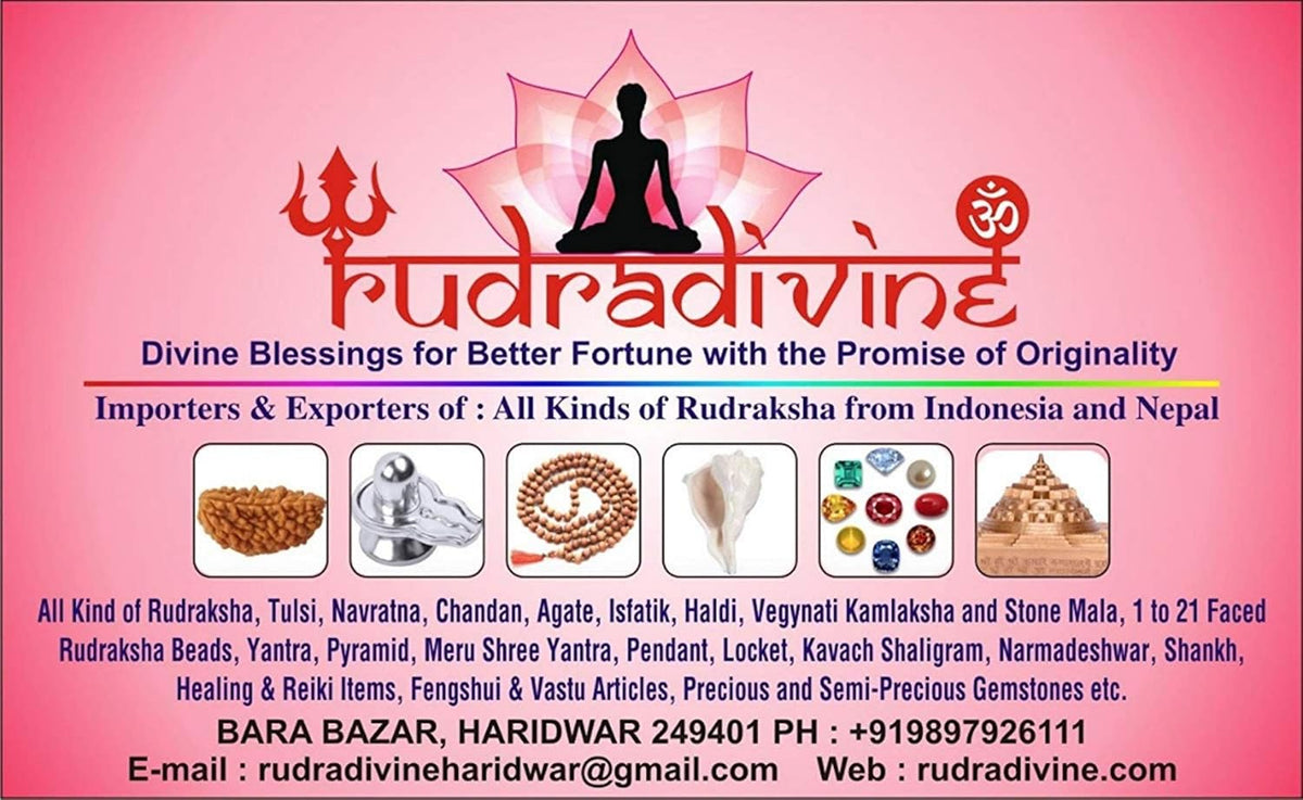 RUDRADIVINE Unisex Brown Rudraksha 2 and 5 Mukhi Face Beads Mala Wrist Band