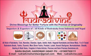 RUDRADIVINE Unisex Brown Rudraksha 2 and 5 Mukhi Face Beads Mala Wrist Band