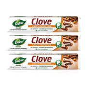 Dabur Herb'l Clove Cavity Protection Toothpaste - 600g (200g x 3) | No added Fluoride & Parabens | Fights Bacteria & Relieves Dental Pain | Provides Pleasant Mouthfeel After Brushing