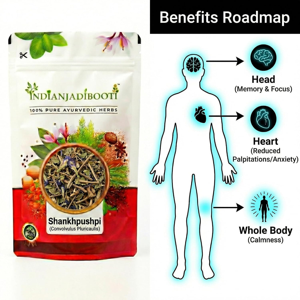 IndianJadiBooti Shankhpushpi (400g Pack Of 2) | Convolvulus Pluricaulis | Dried Whole Herb (Panchang) for Memory, Focus & Sleep | Natural Brain Tonic | Shankhapushpi | Raw & Cleaned