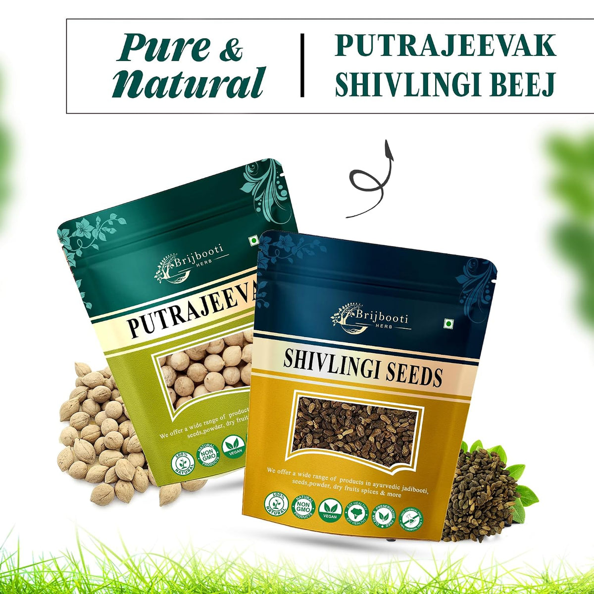 Brijbooti Putrajeevak beej and Shivlingi beej combo 100 Gr each Putra jivak - Shivlangi - Jiya Pota