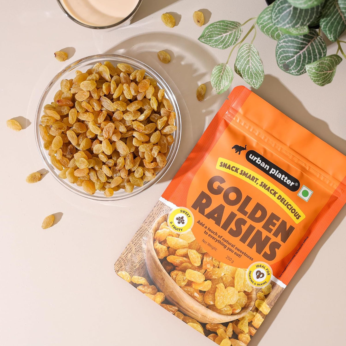Urban Platter Indian Golden Raisins, 250g (Sweet & Chewy | Sun-Dried & Naturally Golden | Perfect for Desserts & Festive Cooking)