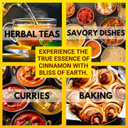 Bliss of Earth 2x100gm Ceylon Cinnamon (Dalchini) 5" Cut Sticks True Cinnamon Raw From Sri Lanka Original
