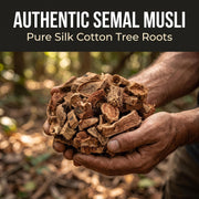 IndianJadiBooti Authentic Semal Musli | Pure Raw Silk Cotton Tree Roots for Natural Wellness & Strength | Traditional Herbal Superfood, 3 Packs of 900 Grams