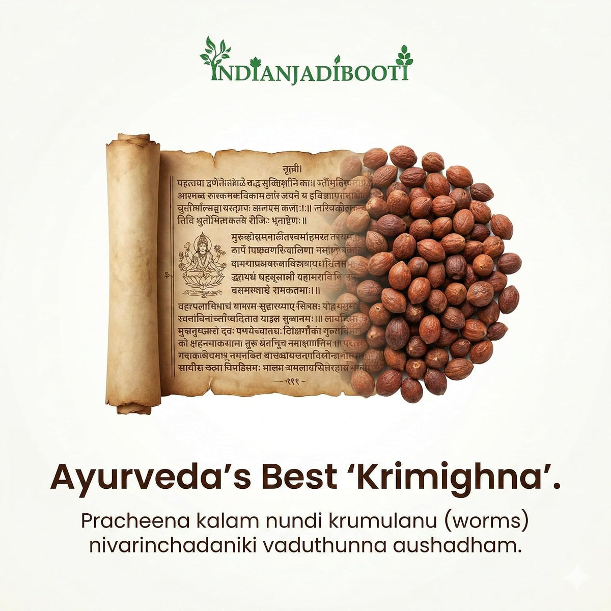 IndianJadiBooti Pure Baibadang (Vidanga/False Black Pepper) | Raw Embelia Ribes for Deep Gut Detox, Microbiome Balance & Metabolic Wellness