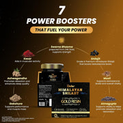 Dabur Himalayan Shilajit/Shilajeet Gold Resin - 20g | 500mg/Serving | 40 Servings | Contains 24 Karat Gold | 7 Ayurvedic Boosters | Boosts Muscle Growth & Stamina | 100% Ayurvedic