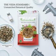 IndianJadiBooti Brahmadandi (Tricholepis glaberrima) | 3 Packs of 900 Grams