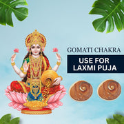 Brijbooti Gomati chakra original 2 Piece - Big Gomati Chakra - River Stones - from Gomathi River Dwarka