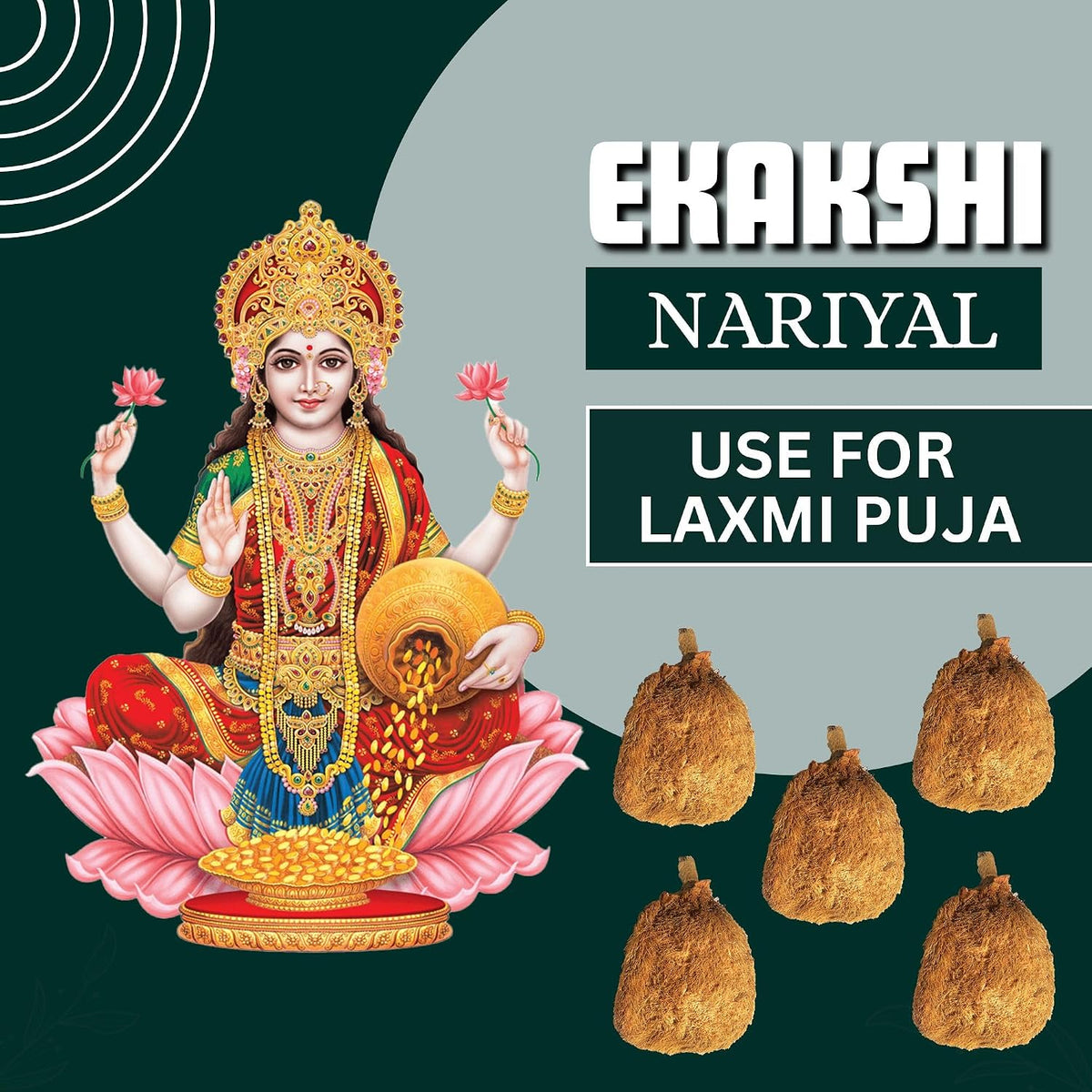 BrijBooti Ekakshi Nariyal - One Eye Coconut For Pooja