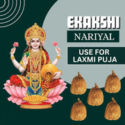 BrijBooti Ekakshi Nariyal - One Eye Coconut For Pooja