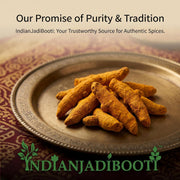 IndianJadiBooti Salem Turmeric Finger Whole - Tamilnadu Origin - Selam Haldi Sabut Haldi Khadi Haldi Haldi Gaanth - Cooking Spices (100 gm)