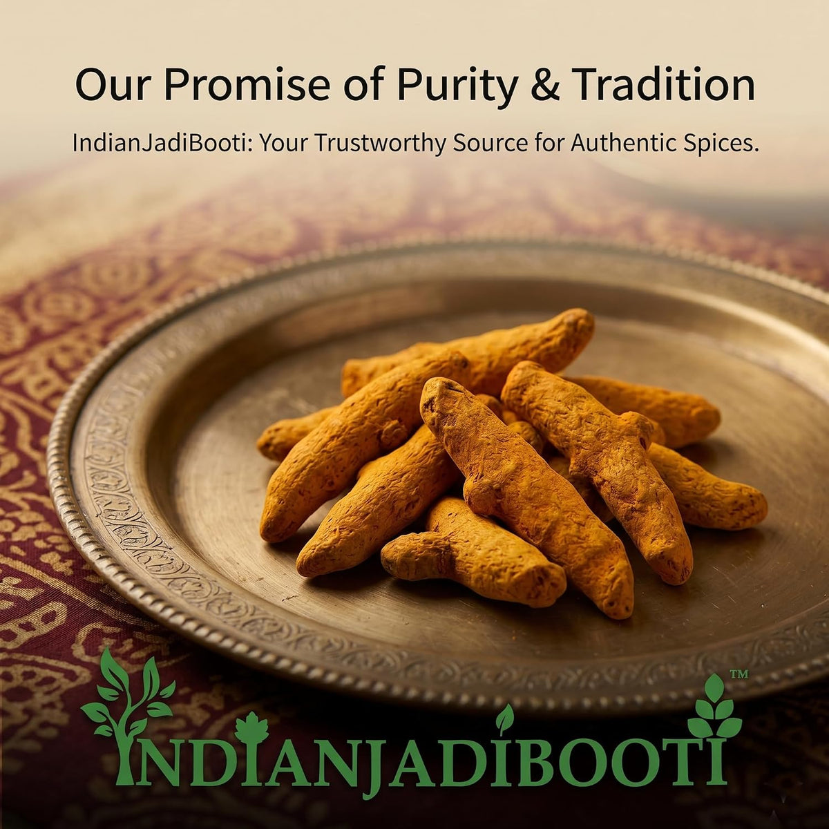 IndianJadiBooti Salem Turmeric Finger Whole - Tamilnadu Origin - Selam Haldi Sabut Haldi Khadi Haldi Haldi Gaanth - Cooking Spices (100 gm)