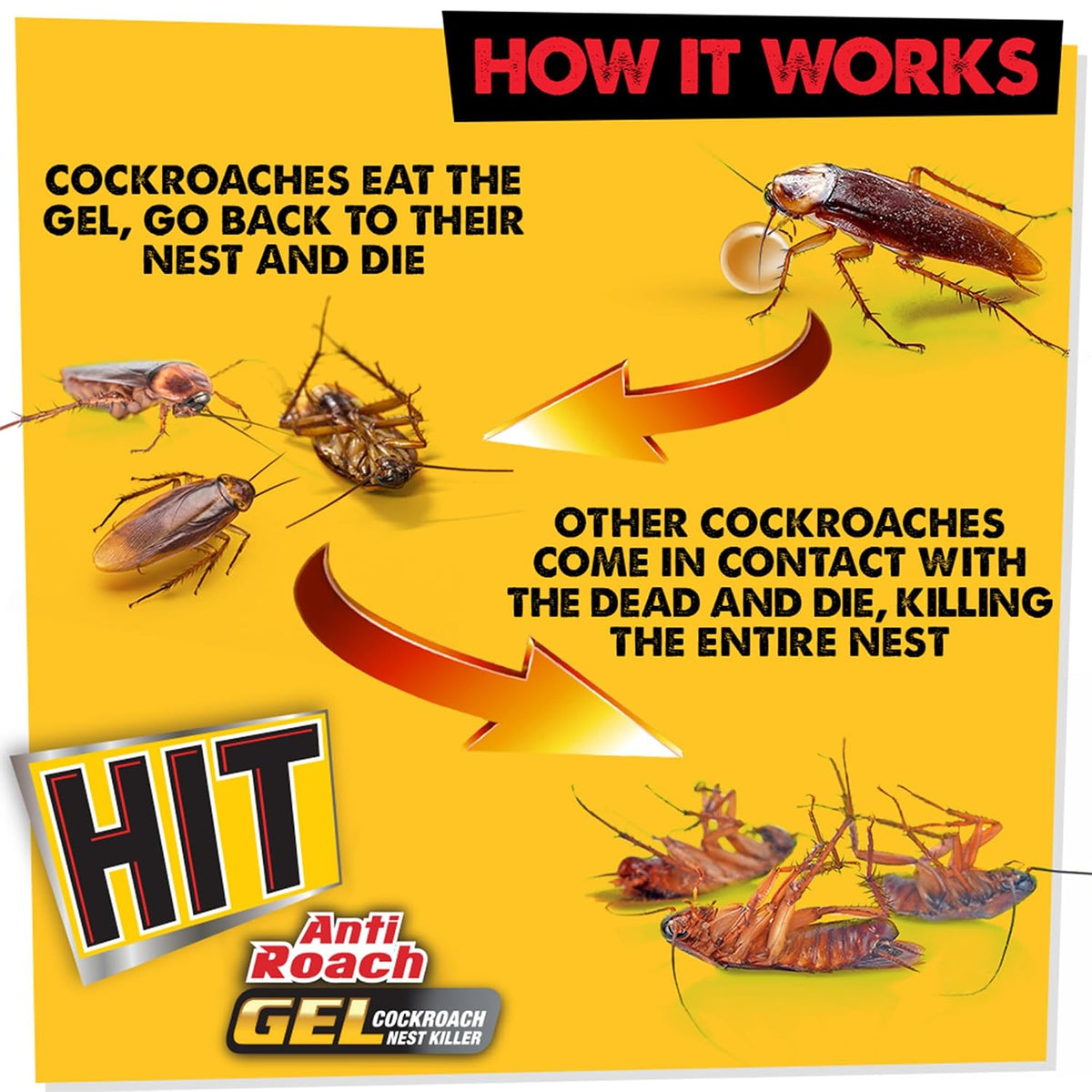 Hit Anti Roach Gel - Cockroach Killer (15G) | Kitchen Safe | Odourless | Fast And Convenient