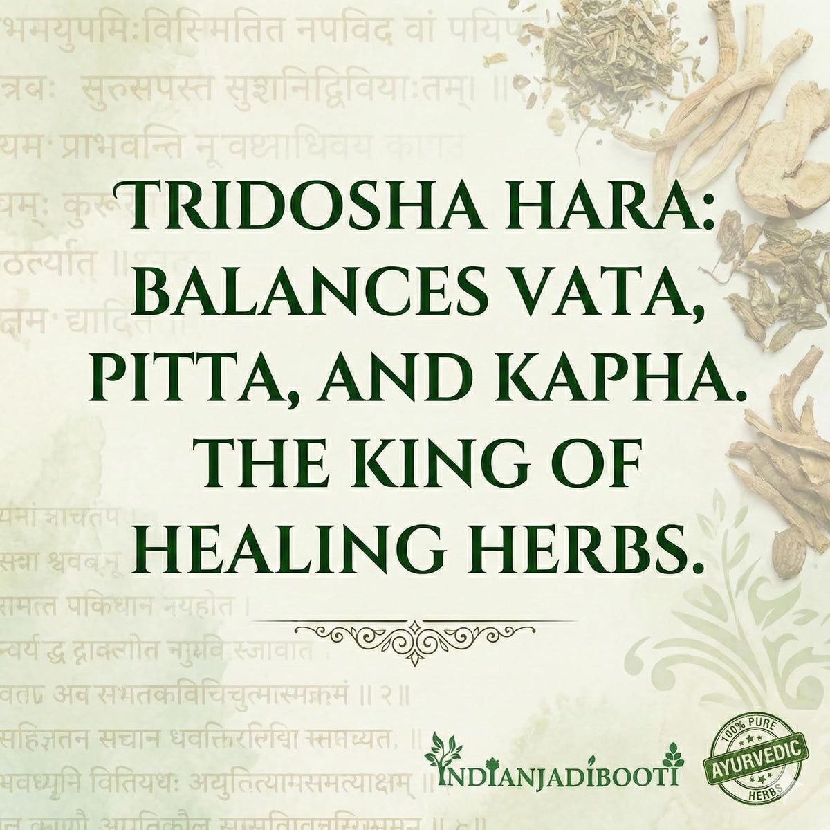 IndianJadiBooti Authentic Ashtavarga Set (8 Rare Himalayan Herbs) – Jivaka, Rishabhaka, Meda, Mahameda, Kakoli, Kshira Kakoli, Riddhi & Vriddhi – The Original Soul of Chyawanprash for Immunity & Deep Rejuvenation | 100 Grams Pack