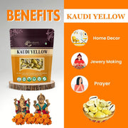 BrijBooti Natural Pili Kaudi - Yellow Kaudi - Yellow Kawri - Kodi - Peeli Cowrie - Laxmi and Diwali Puja Article (11 Pieces)