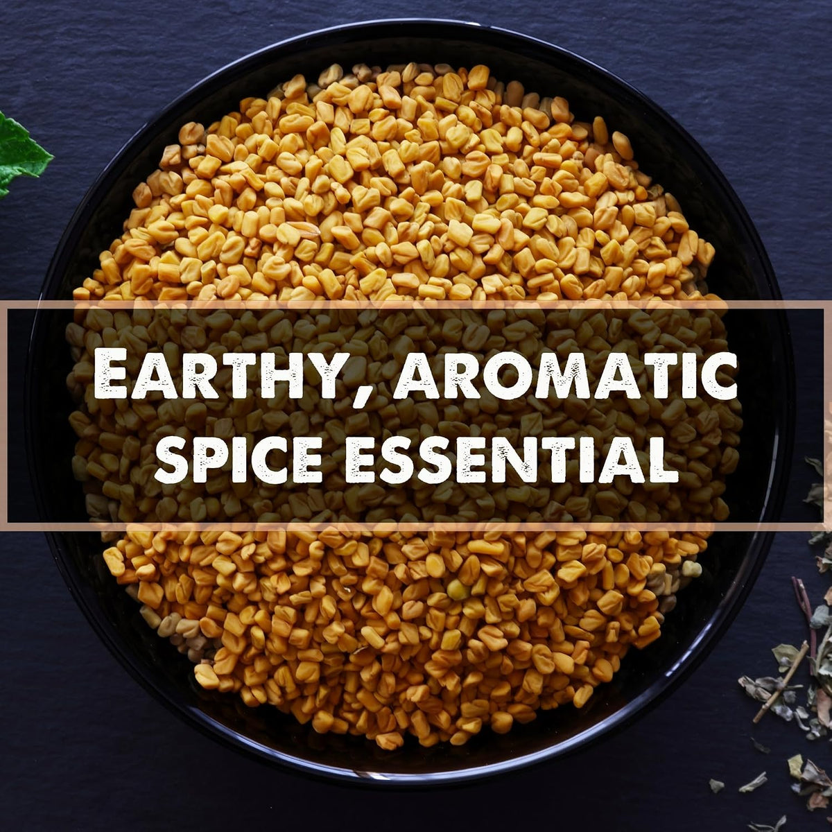 Urban Platter Whole Fenugreek Seeds, 125g (Methi Dana | Used for Microgreen sprouting)