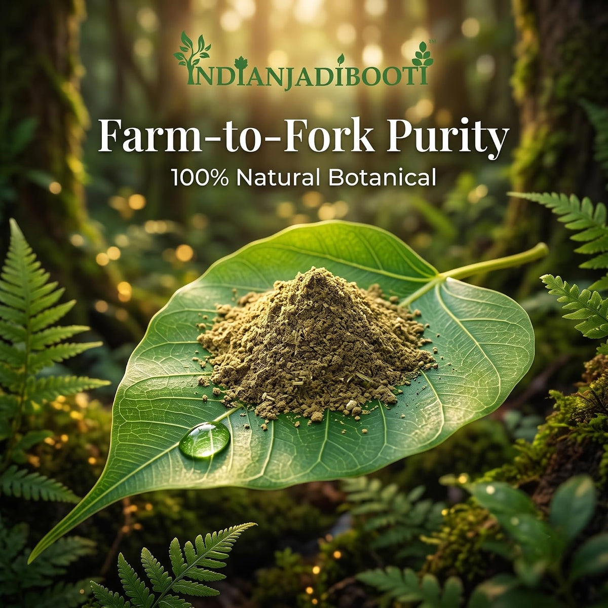 IndianJadiBooti Pure Kuda Chhal Powder (Kutaj Bark) | Raw Botanical for Digestive Comfort, Gut Harmony & Traditional Ayurvedic Vitality (100 Grams)