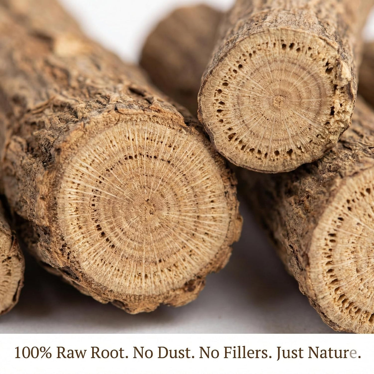 IndianJadiBooti Arand Mool (100g) | Dried Castor Root (Ricinus communis) | Eranda Mool/Arandi Jadd | Ayurvedic Herb for Joint Comfort, Vata Balance & Sciatica Support | Raw & Natural