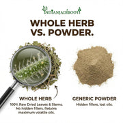 IndianJadiBooti Afsanteen Herb (Artemisia Absinthium) - 250g | Wormwood/Vilayati Afsantin | Supports Digestive Wellness & Natural Detox | Raw, Cleaned & Dried Whole Herb
