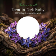 IndianJadiBooti Gule Gaozaban (Dried Borage Flowers) | 400g | Premium Purple Flowers | Natural Herbal Tea for Relaxation & Stress Relief | Traditional Cooling Tonic
